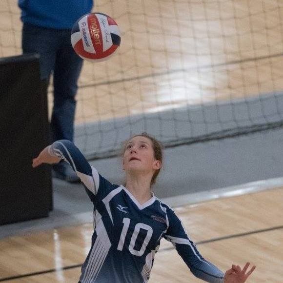 Meet your Posher, Mare - Picture 1 of 1